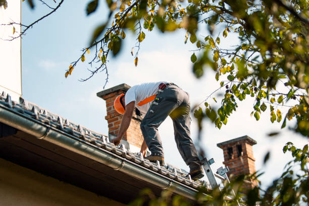Best Gutter Installation and Roofing  in Crosby, MN