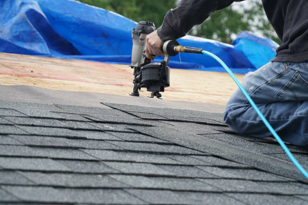 Best Roof Gutter Cleaning  in Crosby, MN